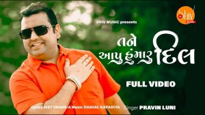 Tane Aapu Hu Maru Dil Lyrics | Pravin Luni | Shiv Music
